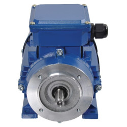 Elektrinis variklis 0,55 kW EM71B2B3B14300IE2A