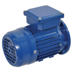 Elektrinis variklis 0,55 kW EM71B2B5300IE2A