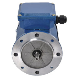 Elektrinis variklis 0,55 kW EM71B2B5300IE2A