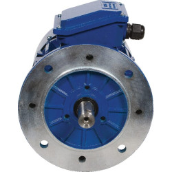 Elektrinis variklis 2,2 kW EM100LA4B5300IE3A