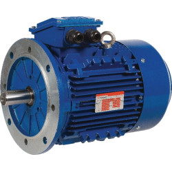 Elektrinis variklis 2,2 kW EM112M6B5300IE3AKR