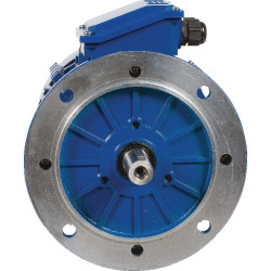 Elektrinis variklis 1,5 kW EM100L6B5300IE3AKR