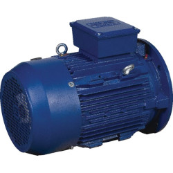 Elektrinis variklis 4 kW EM112M2B5300IE3AKR