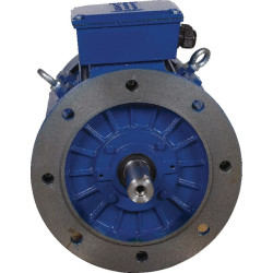 Elektrinis variklis 0,75 kW EM80A2B5300IE3AKR