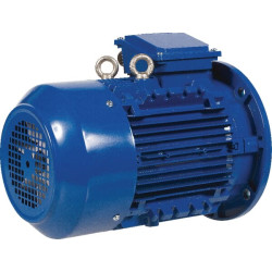 Elektrinis variklis 4 kW EM132MA6B5500IE3A