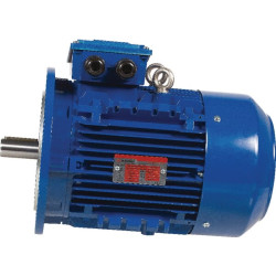 Elektrinis variklis 4 kW EM132MA6B5500IE3A