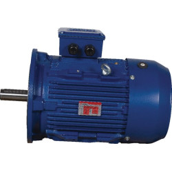 Elektrinis variklis 1,1 kW EM80B2B5300IE3AKR