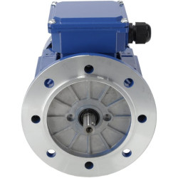 Elektrinis variklis 0,25 kW EM71A4B51B0IE2A