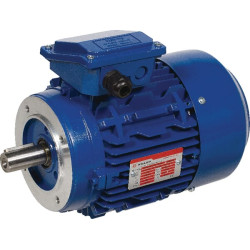 Elektrinis variklis 0,75 kW EM80B4B14300IE3AKR