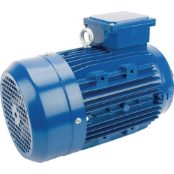 Elektrinis variklis 2,2 kW EM100LA4B14300IE3A