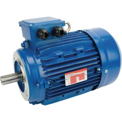 Elektrinis variklis 4 kW EM112L4B14300IE3A