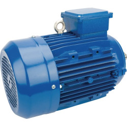Elektrinis variklis 4 kW EM112L4B14300IE3A