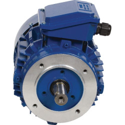 Elektrinis variklis 0,75 kW EM90S6B14300IE3AKR