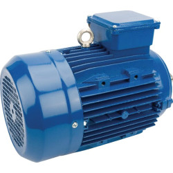 Elektrinis variklis 4 kW EM112L4B14500IE3A