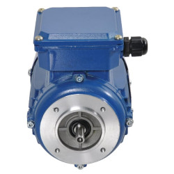 Elektrinis variklis 0,25 kW EM71A4B14300IE2A