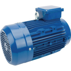 Elektrinis variklis 3 kW EM100LB4B14500IE3A