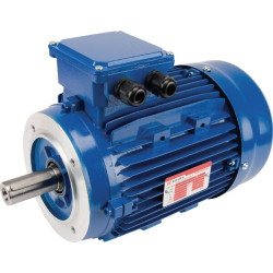 Elektrinis variklis 3 kW EM100L2B14300IE3A