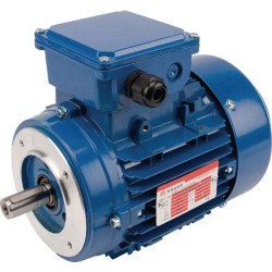Elektrinis variklis 0,75 kW EM80A2B14300IE3AKR