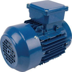 Elektrinis variklis 0,75 kW EM80A2B14300IE3AKR