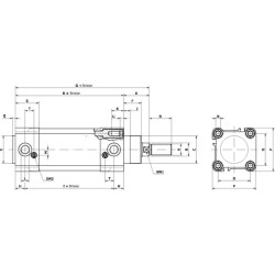 Standartinis cilindras DN125100CMG2