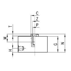 Trumpo eigos cilindras ø20x10 QN1A20A10
