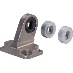 Šakotinė pėda, sferinė CFS40