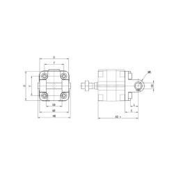 Galinis moteriškas trunnionas C3132CAM