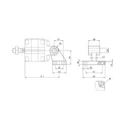 Šakotinė pėda I810