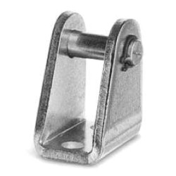 Šakotinė pėda I1216