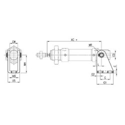 Šakotinė pėda I2025