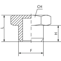 Tuščiaviduris šešiakampis kaištis HHHP34