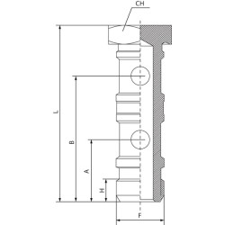 Tuščiaviduris dvigubas varžtas + O žiedas HBDRO14