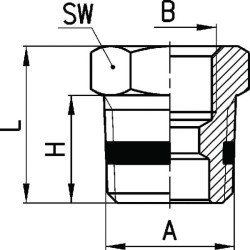 Reduktorius S25301238