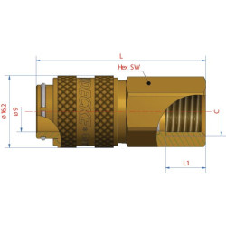 Q-Rel jungtis su 3/8" BSP F/Thd ESM38I