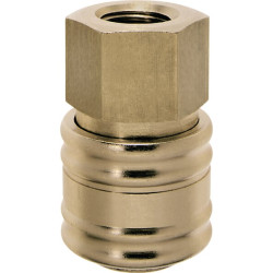 Q-Rel jungtis su 1/2 colio BSP F/Thd ESO12I