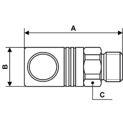 Greito atjungimo apsauginė jungtis, 1/4 colio BSP išorinis sriegis, CSM061151
