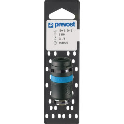 Greito atjungimo apsauginė jungtis, 3/8 colio BSP vidinis sriegis ISG061102P001