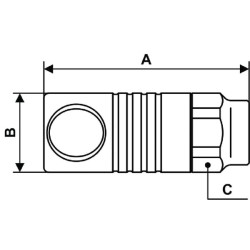 Greito atjungimo apsauginė jungtis 1/2 colio BSP vidinis sriegis CSM081103