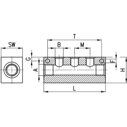 Kolektoriaus blokas 3053385L14