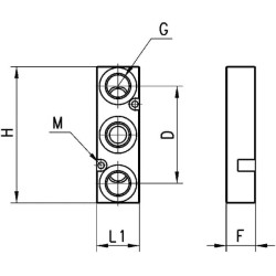 Atskiro įvado plokštelė CNVL3P