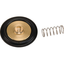 Diafragmos rinkinys ESPSV004