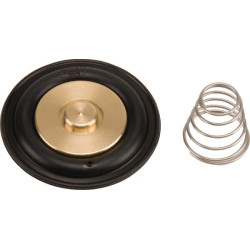 Diafragmos rinkinys ESPSV007