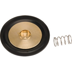 Diafragmos rinkinys ESPSV010