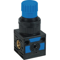 Reguliatorius 1/4" 0,3-12 bar PR0K140312