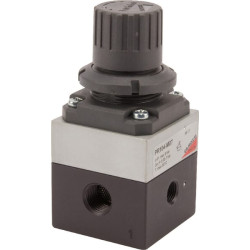 Tikslus reguliatorius PR104M07