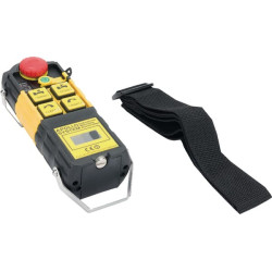 Rankinis siųstuvas 2L CH802 H192PBTM802