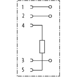 Terminatorius M12 moteriškas M12TRESF