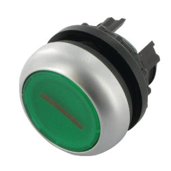 Žalias mygtukinis valdiklis 1 M22DLGX1