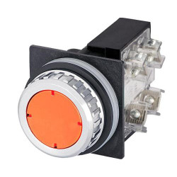 Mygtukas, oranžinis 030RIAF1