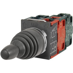 Valdymo svirtis 020MT1P2T21A